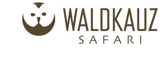 Zur Startseite gehen